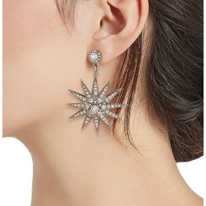 Oscar de la Renta
Silvertone & Crystal Starburst Drop Earrings